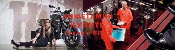 бошки Белокуриха