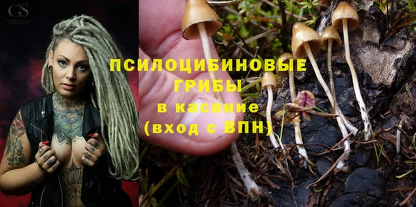 бошки Белокуриха
