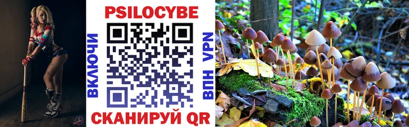 Галлюциногенные грибы MAGIC MUSHROOMS цены Кизляр